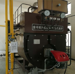 全冷凝燃氣蒸汽鍋爐(節(jié)能型)